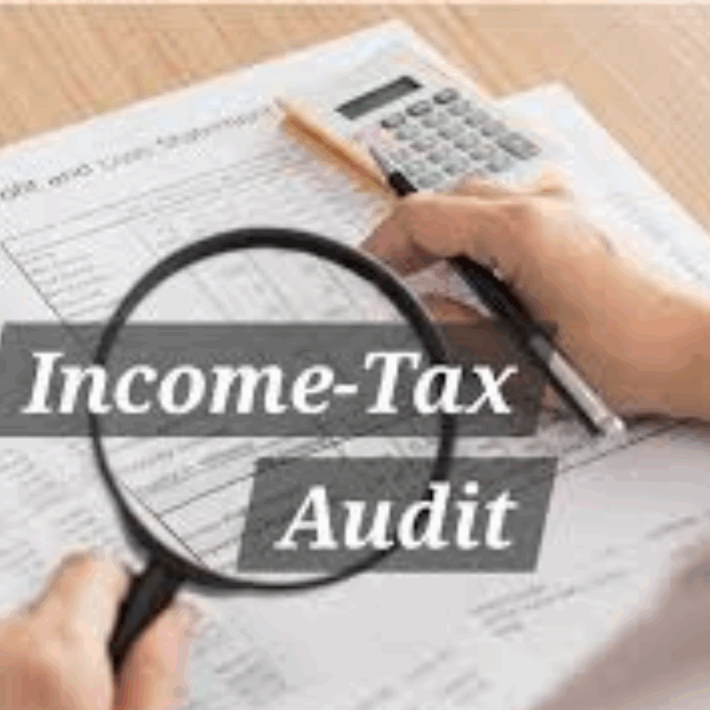 Income Tax Audit -​